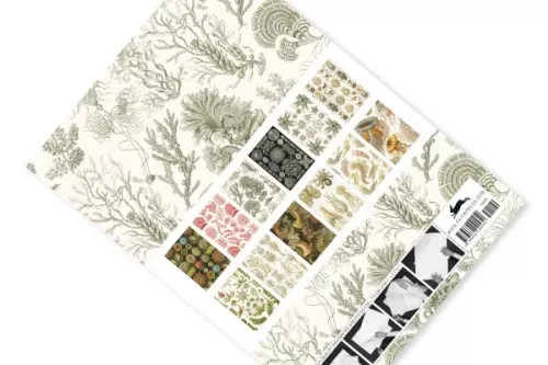 Art Forms in Nature, Gift & Creative Paper Book