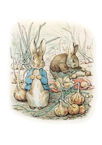 Rabbit, Greeting Card