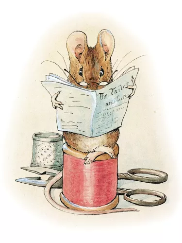 Mouse, Minicard