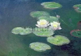 Waterlilies, Evening, Postcard
