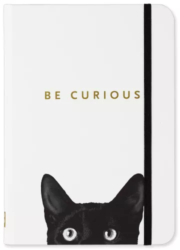 Curious Cat, Small Journal
