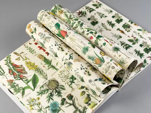 Flora, Gift&Creative Paper Book
