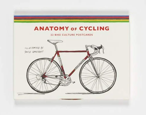 Anatomy of Cycling