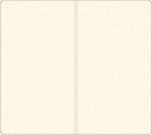 Dotted Voyager Journal Refills