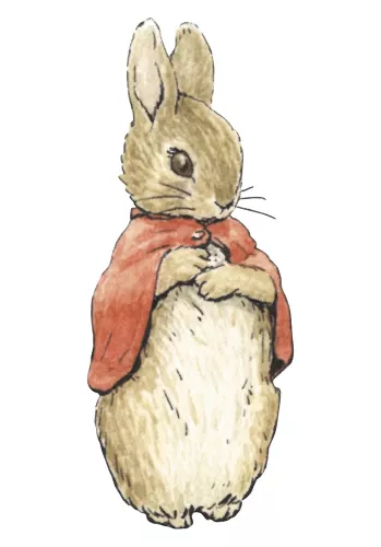 Flopsy, Minicard