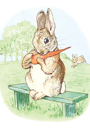 Peter Rabbit/bench, Minicard