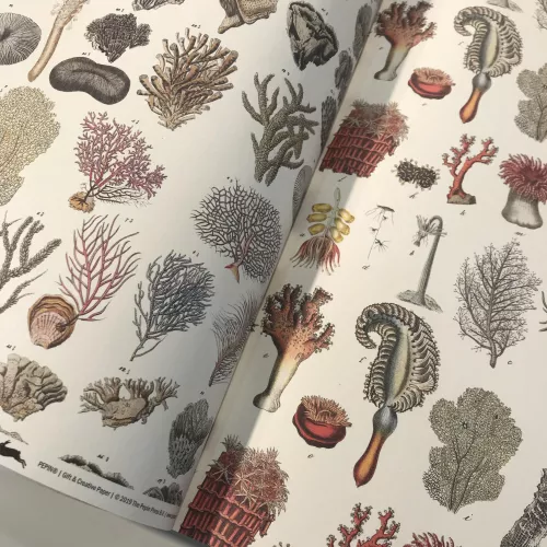 Marine, Gift & Creative Paper Book