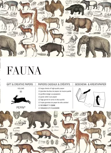Fauna, Gift & Creative Paper Book
