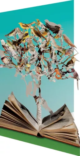 Observ Book/birds Lasercut Card