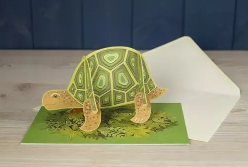 Pop-out Tortoise, Greeting Card