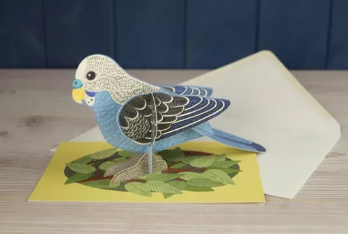 Pop-out Budgie, Greeting Card