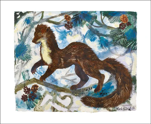 Pine Marten, Greeting Card