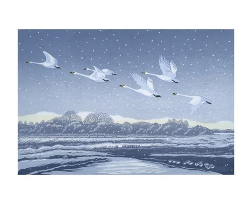 Snow Flight, Greeting Card