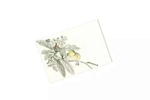 Japanese Art, C6 Envelopes