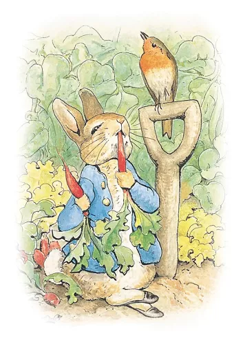 Beatrix Potter Peter Rabbit with carrots, Greeting Card