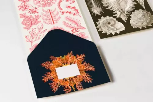Maritime Art Forms, C6 Envelopes