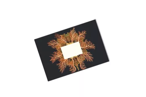 Maritime Art Forms, C6 Envelopes