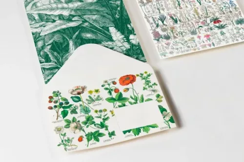 Botanical, C6 Envelopes