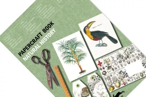 Natural History, Paper Craft Book
