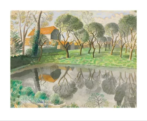 Newt Pond, Greeting Card