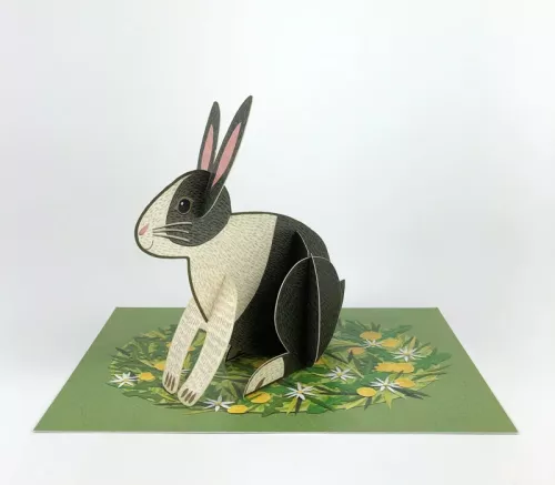 Pop-out Rabbit, Greeting Card