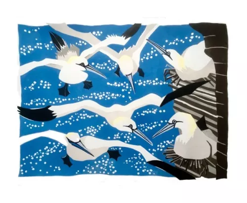 Westray Gannets, Greeting Card