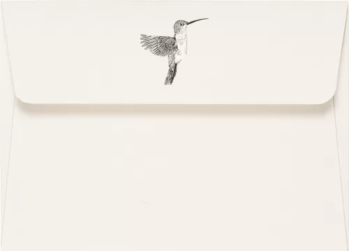 Note Card Hummingbird