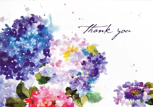 Ty Note Hydrangeas