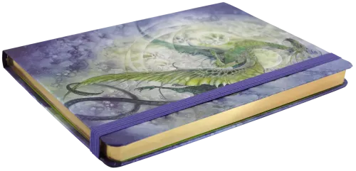 Jrnl Mid Dragon