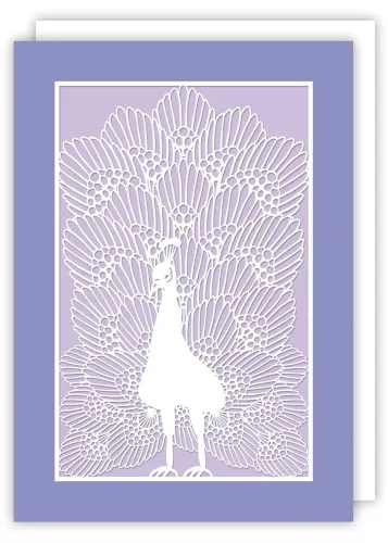 Peacock, Greeting Card