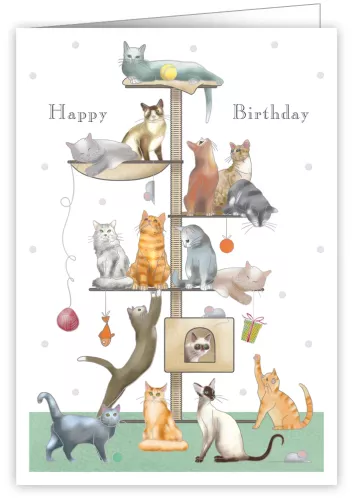 Cats, Greeting Card