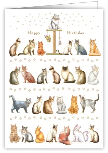 Cats, Greeting Card