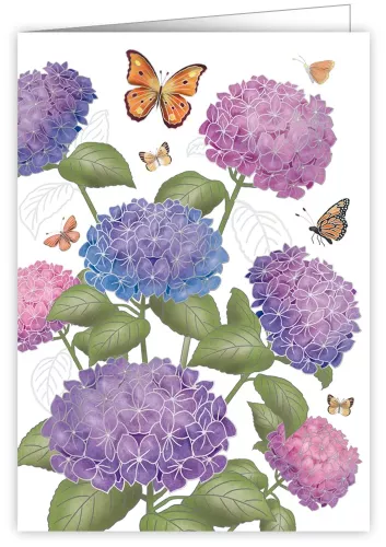 Hydrangeas, Greeting Card
