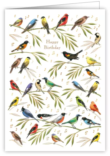 Birds Singing, Mac Classic