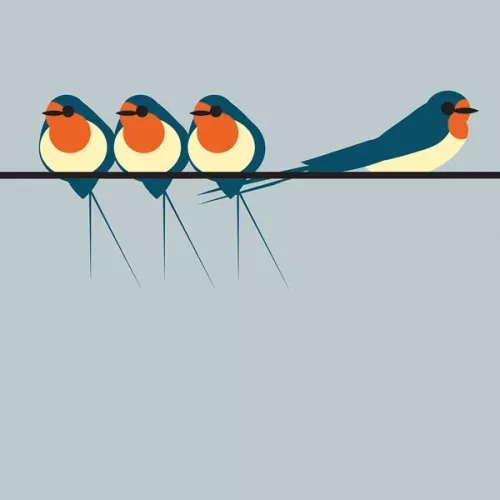 Swallows On A Line, Everyday Single Card