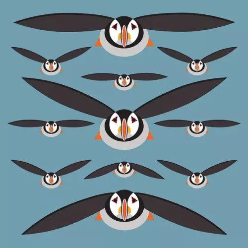 Puffins, Everyday Single Card