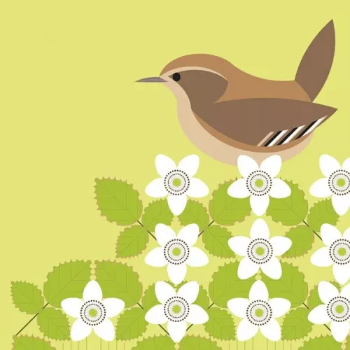 Wren, Everyday Single Card