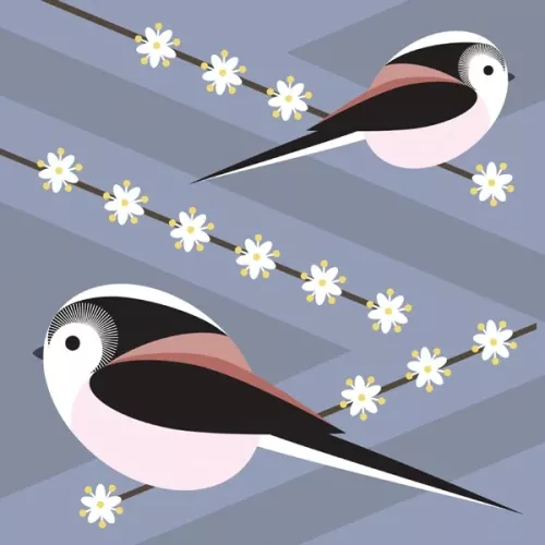 Long Tailed Tit, Everyday Single Card