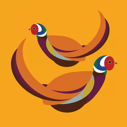 Pheasant, Everyday Single Card