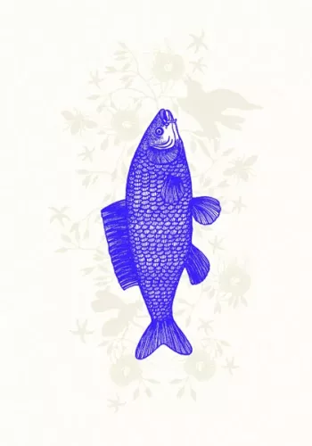 Fish Blue, Everyday Single Card