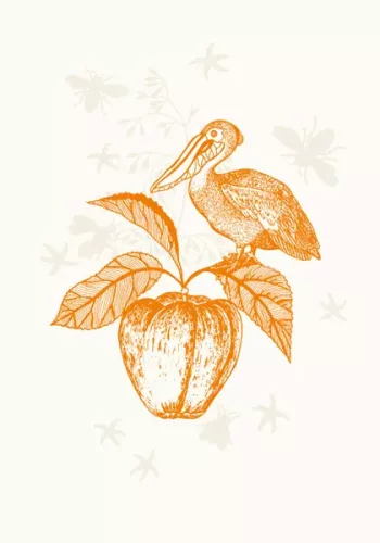 Pelican Orange, Everyday Single Card