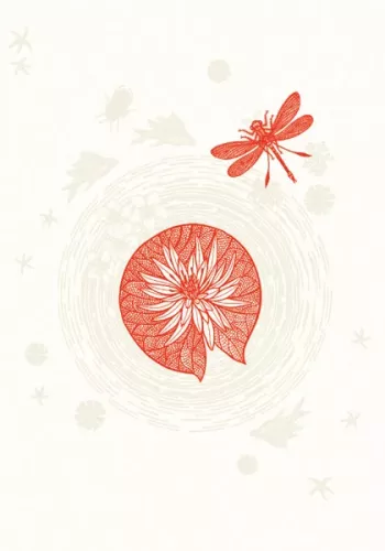 Red Lily Pad, Everyday Single Card