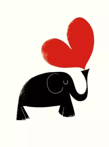 Elephant & Heart, Everyday Single Card