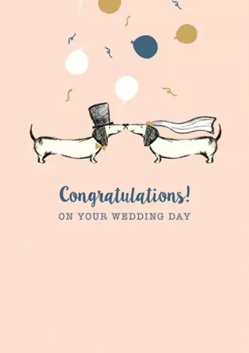 Wedding Franks, Everyday Single Card