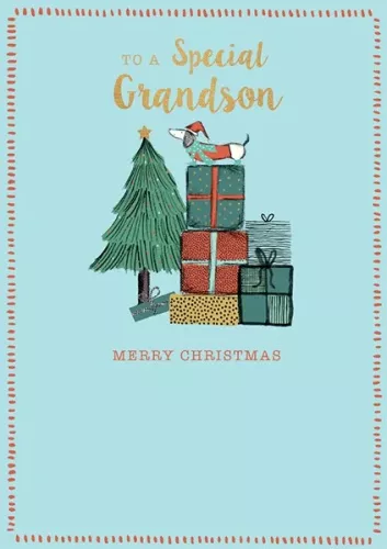 Special Grandson, Xmas Single Card