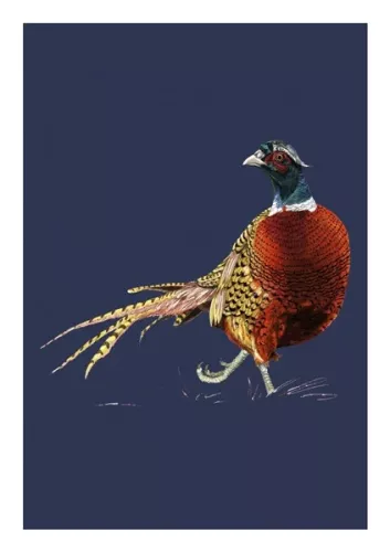 Pheasant, Everyday Single Card