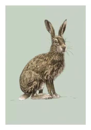Hare, Everyday Single Card
