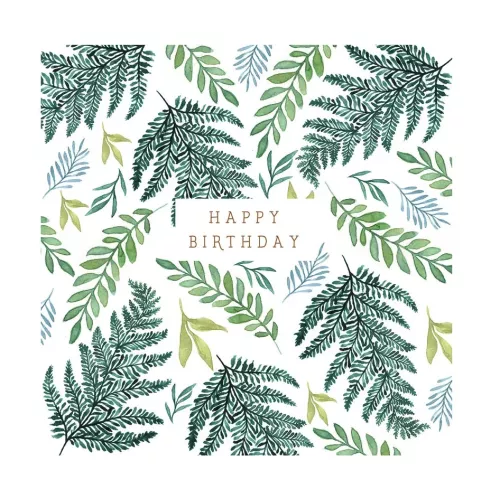 Fern, Everyday Single Card