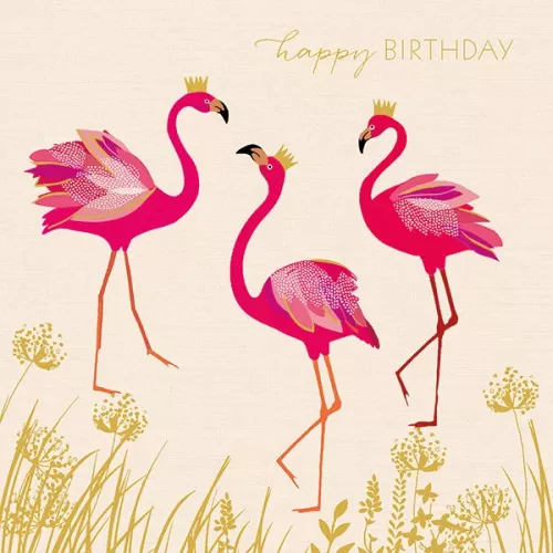 Hb Flamingos, Everyday Single Card