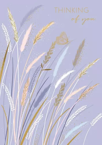Thinking Of You Wheat & Butterfly, Everyday Single Card